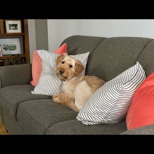 Meet your Posher, Nicolle (📍Halifax, NS)